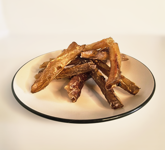 Aorta de Cerdo Entera