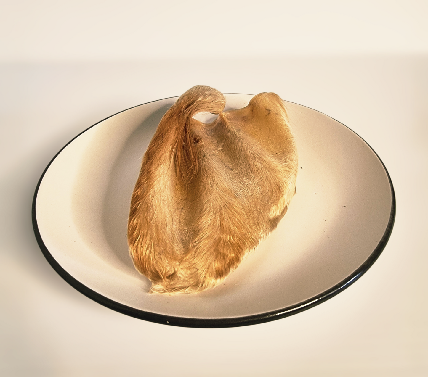 Oreja de Res Deshidratada