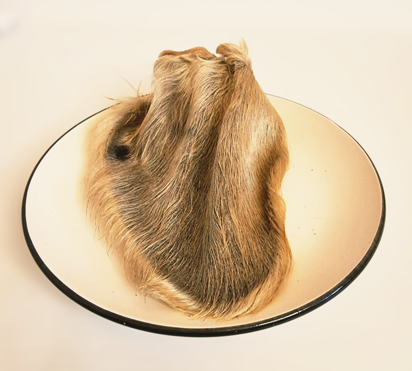 Oreja de Res Deshidratada