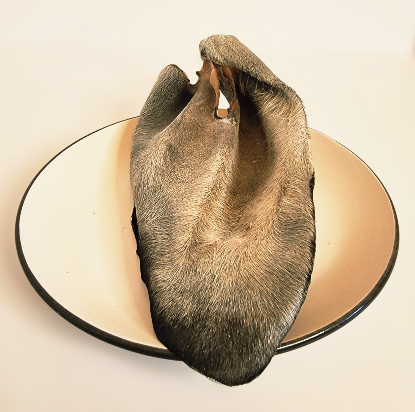 Oreja de Res Deshidratada