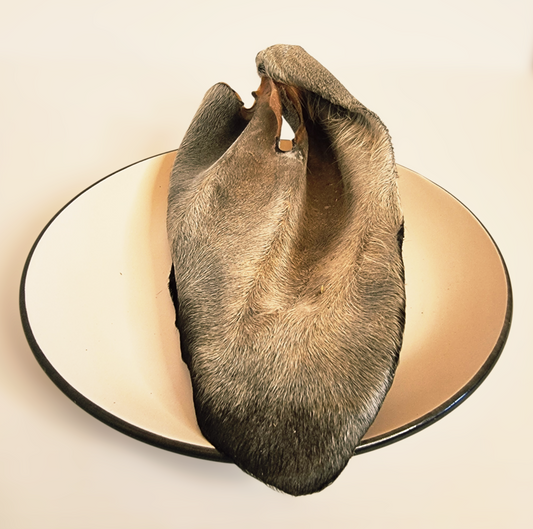 Oreja de Res Deshidratada