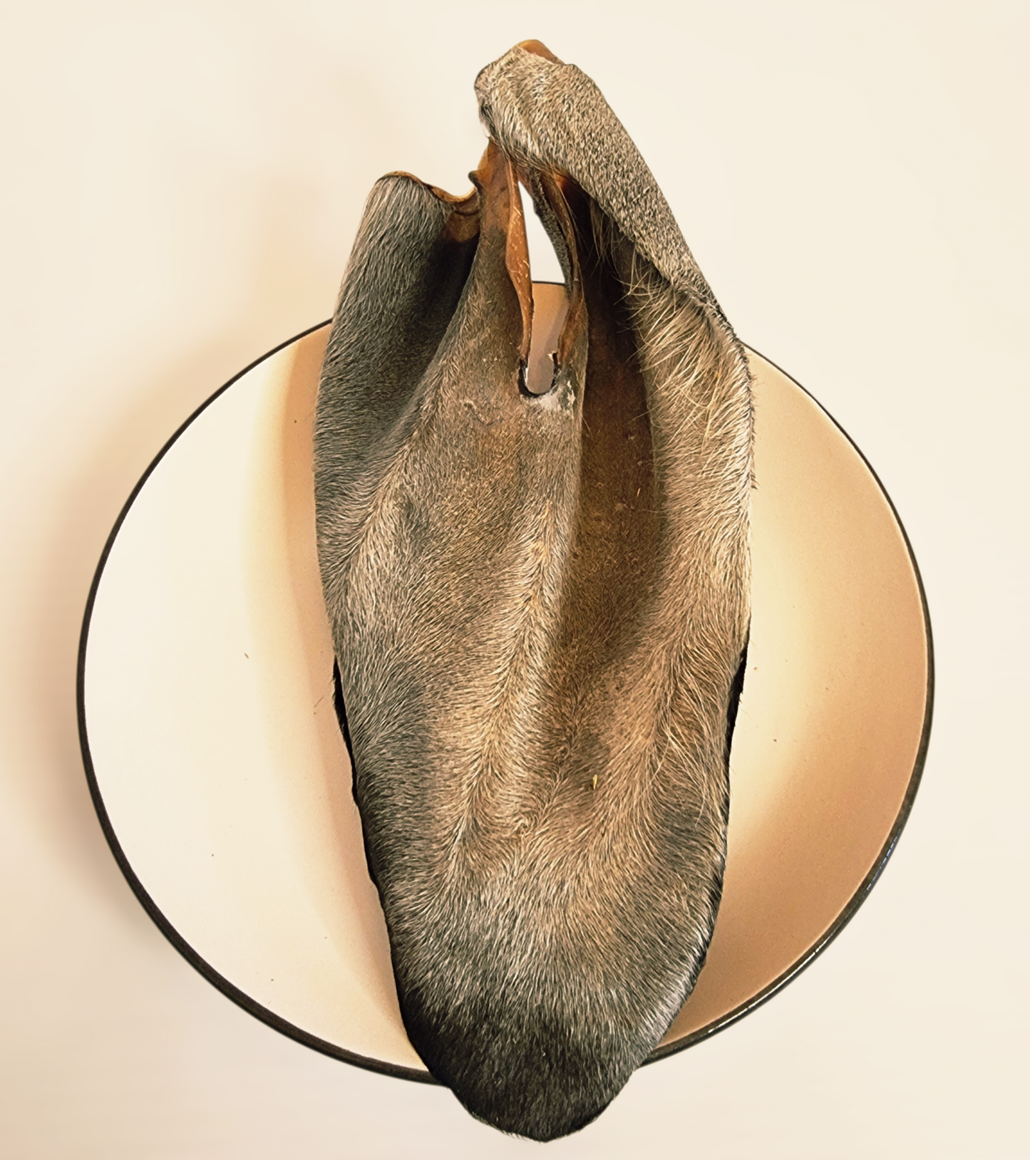 Oreja de Res Deshidratada