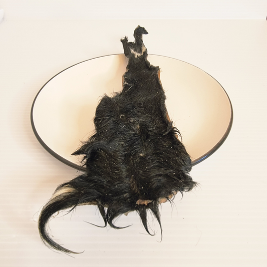 Piel de Res Deshidratada